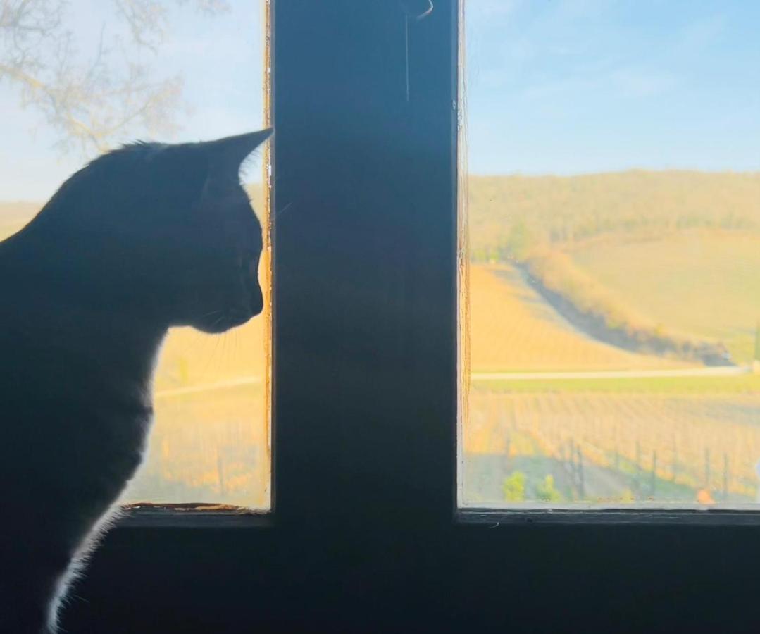 Locanda Podere Le Vigne Radda in Chianti Kültér fotó