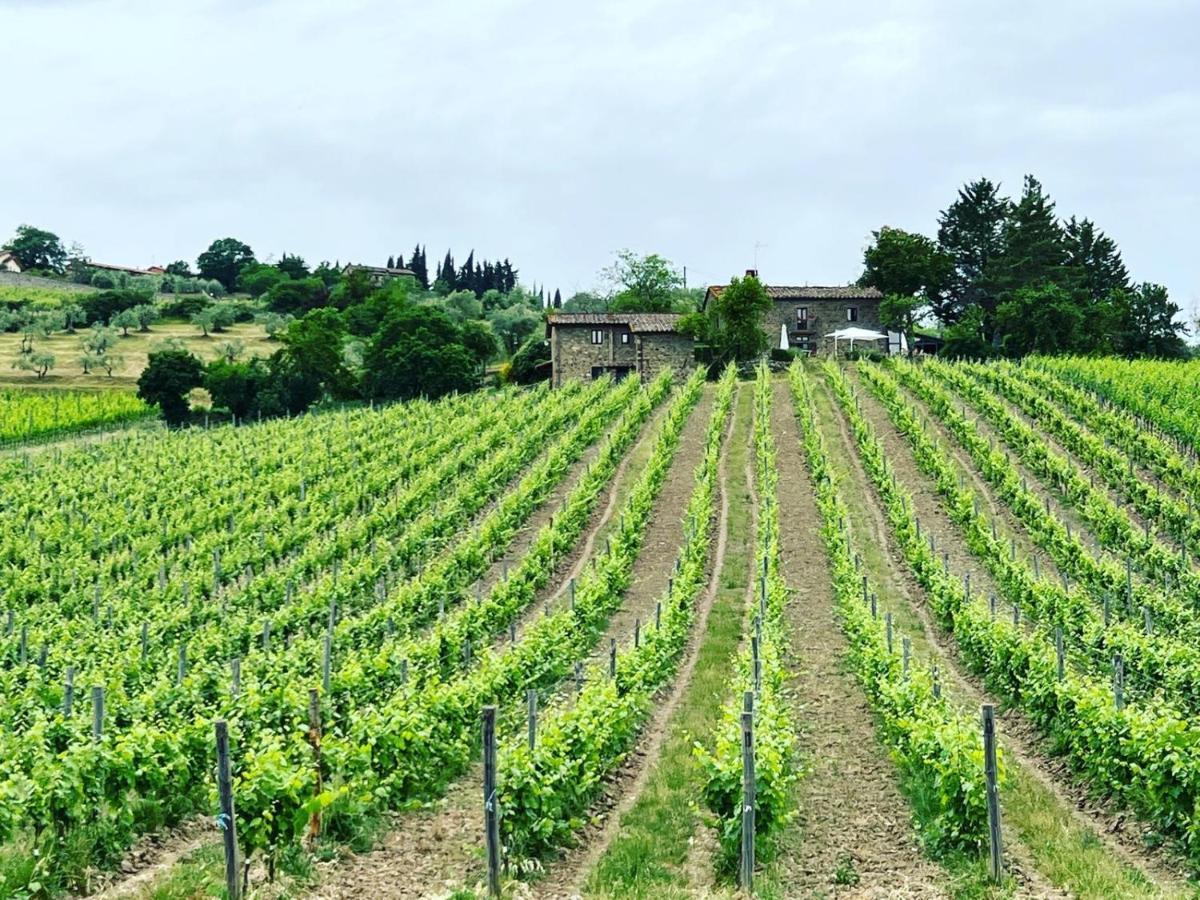 Locanda Podere Le Vigne Radda in Chianti Kültér fotó