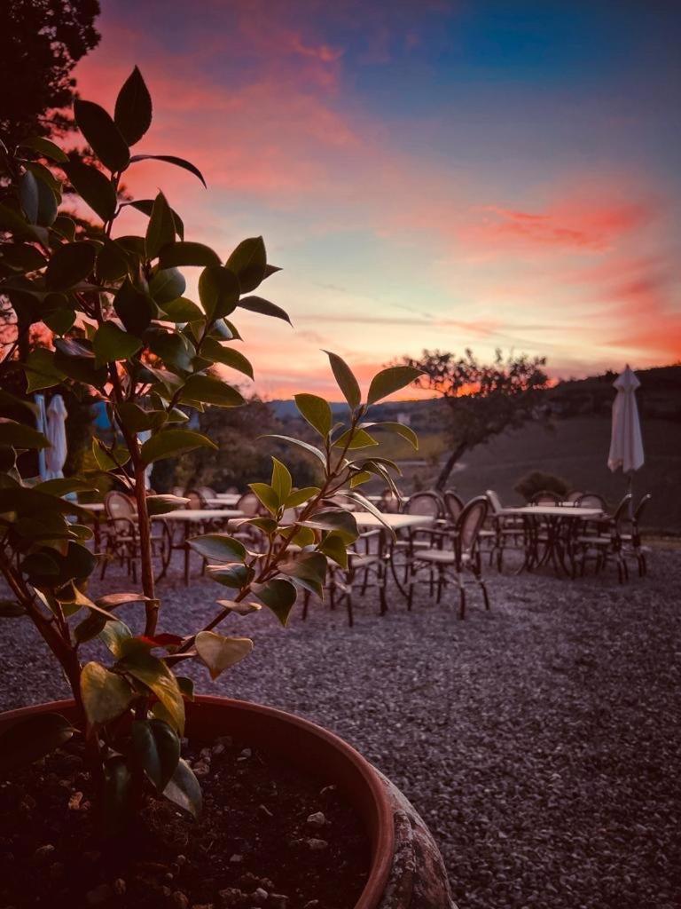 Locanda Podere Le Vigne Radda in Chianti Kültér fotó